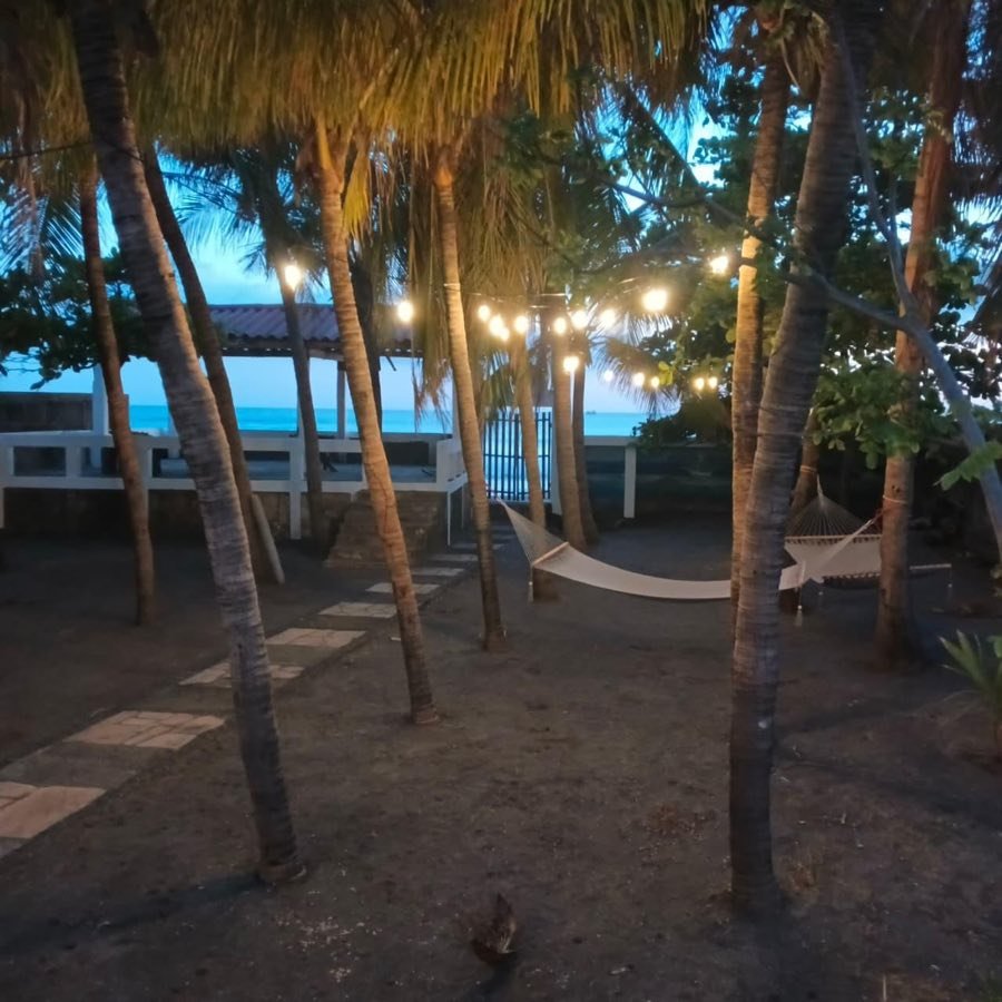 Jardín de palmeras con luces cálidas colgadas y una hamaca, con el mar al fondo de noche.