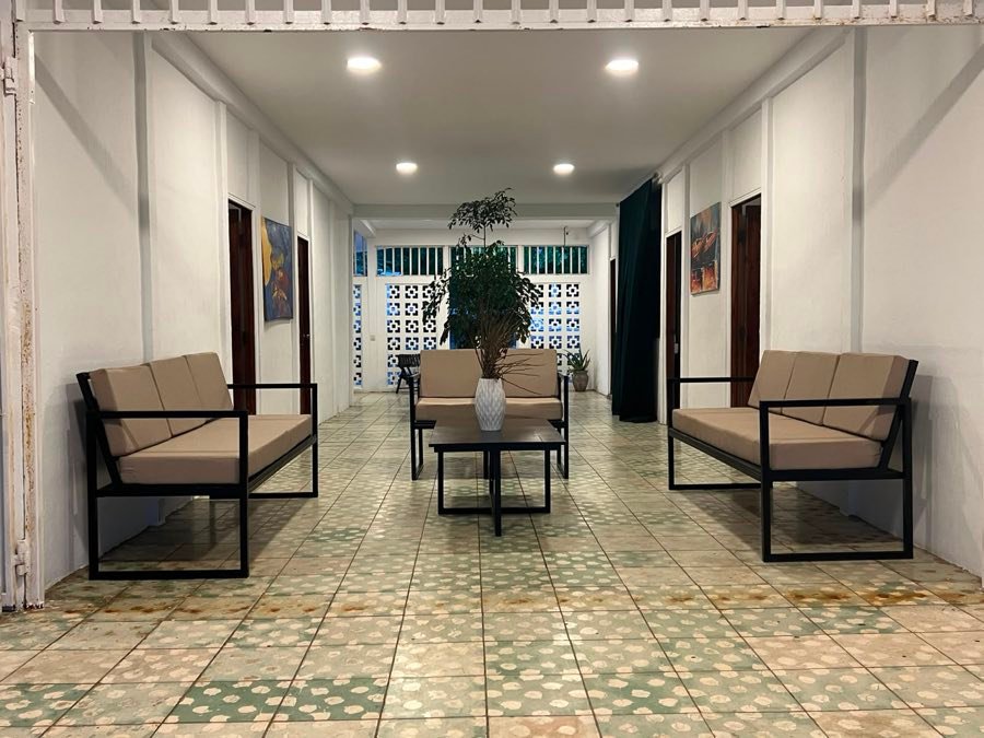 Sala de estar de la casa con sillones claros y una planta al centro.
